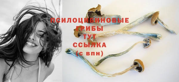 прущий лед Арсеньев