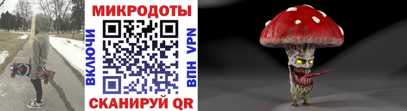 Псилоцибиновые грибы мухоморы  Купить закладки  Судогда 
